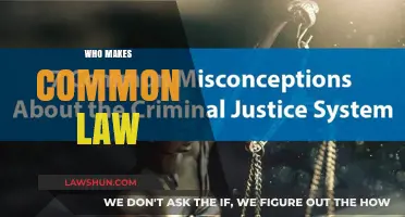 The Evolution of Common Law: Who Shapes It?