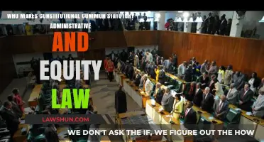 The Law Behind the Laws
