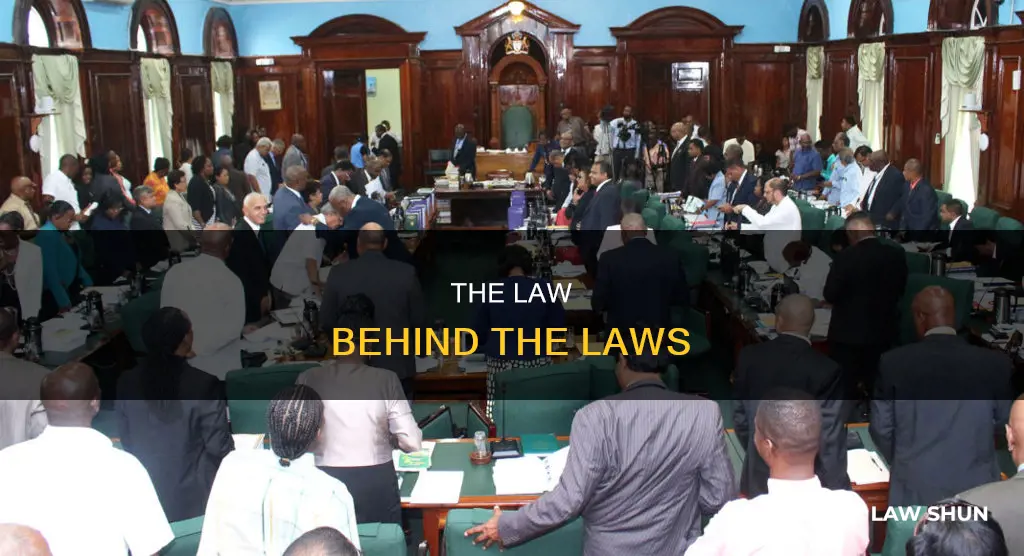 who makes constitutional common statutory administrative and equity law
