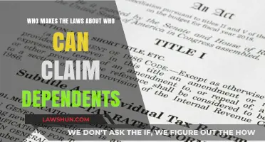 Understanding Dependency Laws: Who Decides the Rules?