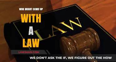 Who Creates Laws? Understanding the Origins of Legal Frameworks