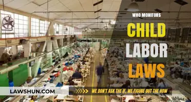 Who Enforces Child Labor Laws: Key Agencies and Their Roles