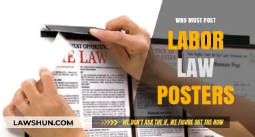 Who's Responsible for Displaying Labor Law Posters? A Clear Guide