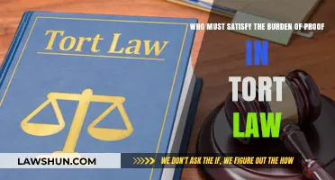 Who Bears the Burden of Proof in Tort Law Cases?