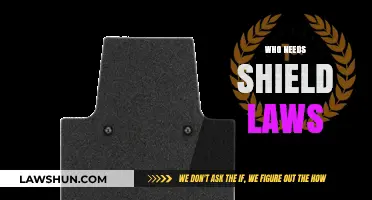 Shield Laws: Essential Protection for Journalists and Whistleblowers Alike