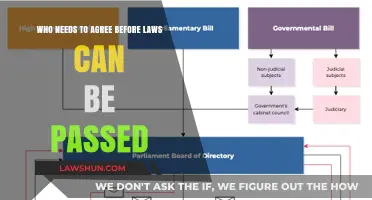 Consensus Needed: Who Decides Our Laws?