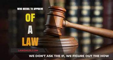 Who Holds the Power? Understanding Law Approval Processes and Key Players
