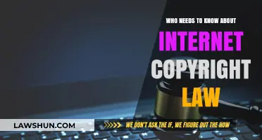 Understanding Internet Copyright Law: Essential Knowledge for Creators and Users