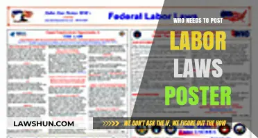 Who Must Display Labor Law Posters: Essential Compliance Guide