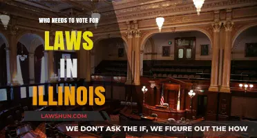 Understanding Illinois Lawmaking: Who Votes on Legislation in the Prairie State?