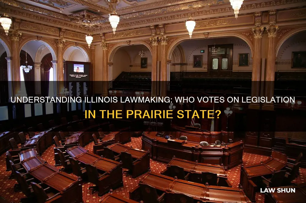who needs to vote for laws in illinois