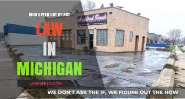 Which Michigan Cities Opted Out of the Cannabis Legalization Law?