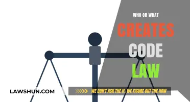 The Evolution of Code Law: Who's in Control?