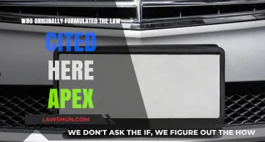 Who Formulated the Law Cited Here: Uncovering the Original Apex Creator