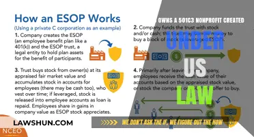 Who Really Owns a 501(c)(3) Nonprofit?