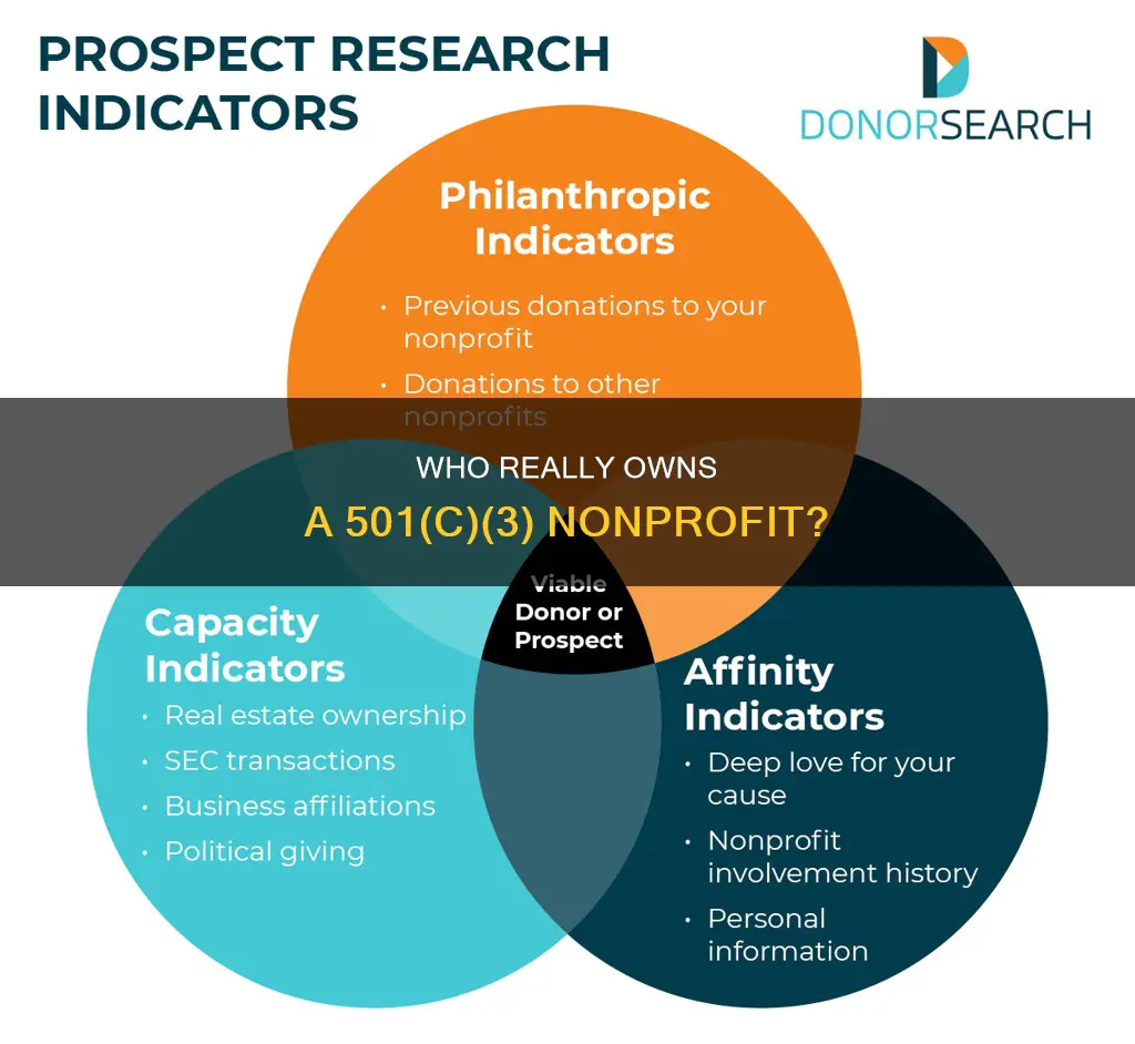 who owns a 501c3 nonprofit created under us law