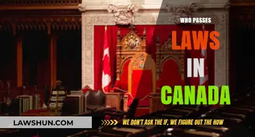 Canada's Law-Making Process: Who's Involved?