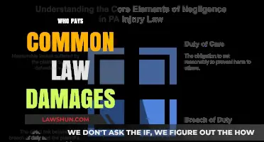 Understanding Common Law Damages: Who Pays the Price?