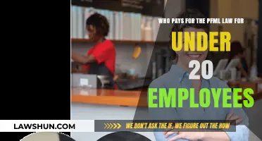 PFML Law for Small Businesses: Who Bears the Cost?