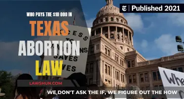 Texas Abortion Law: Who Bears the $10,000 Cost?