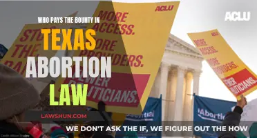 Texas Abortion Law: Who Pays the Bounty?