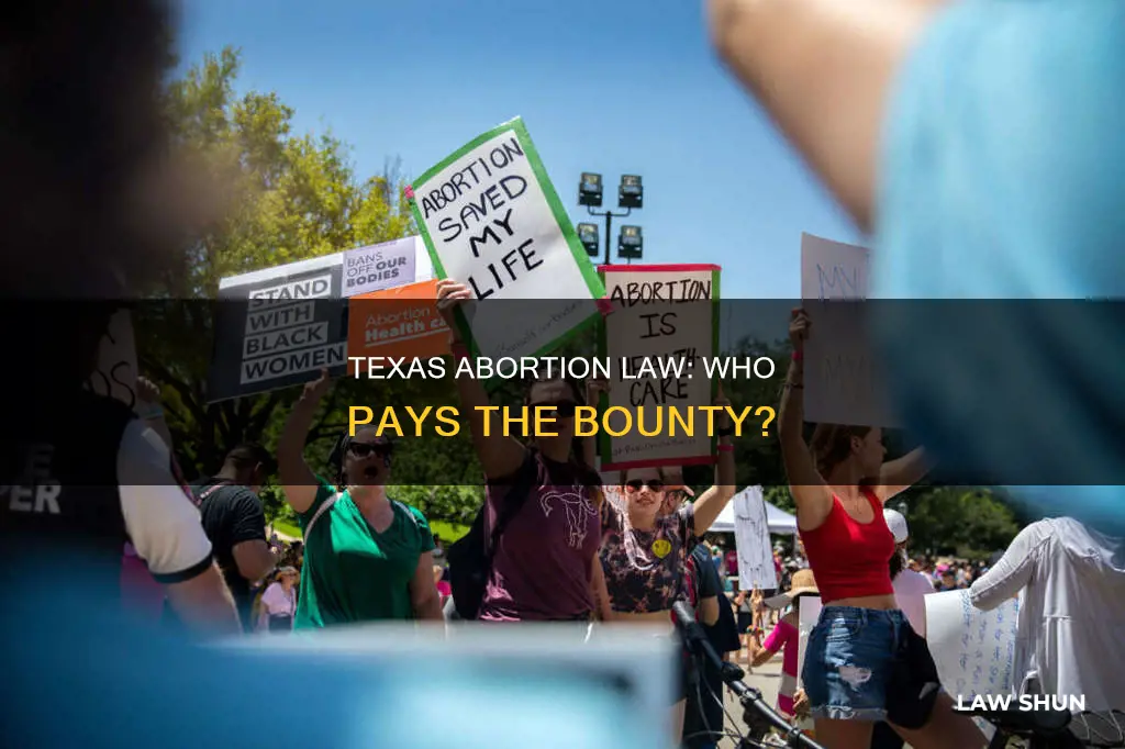 who pays the bounty in texas abortion law