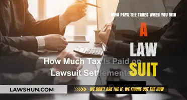 Lawsuit Winnings: Who Pays the Taxes?