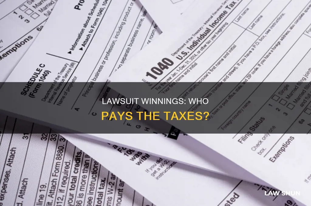 who pays the taxes when you win a law suit