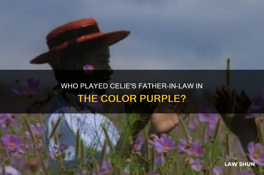 who played celies father in law in color purple