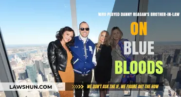 Who Is Danny Reagan's Brother-in-Law on Blue Bloods?