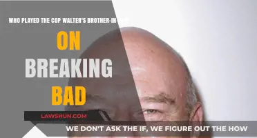 Breaking Bad: The Actor Behind Walter's Brother-in-Law