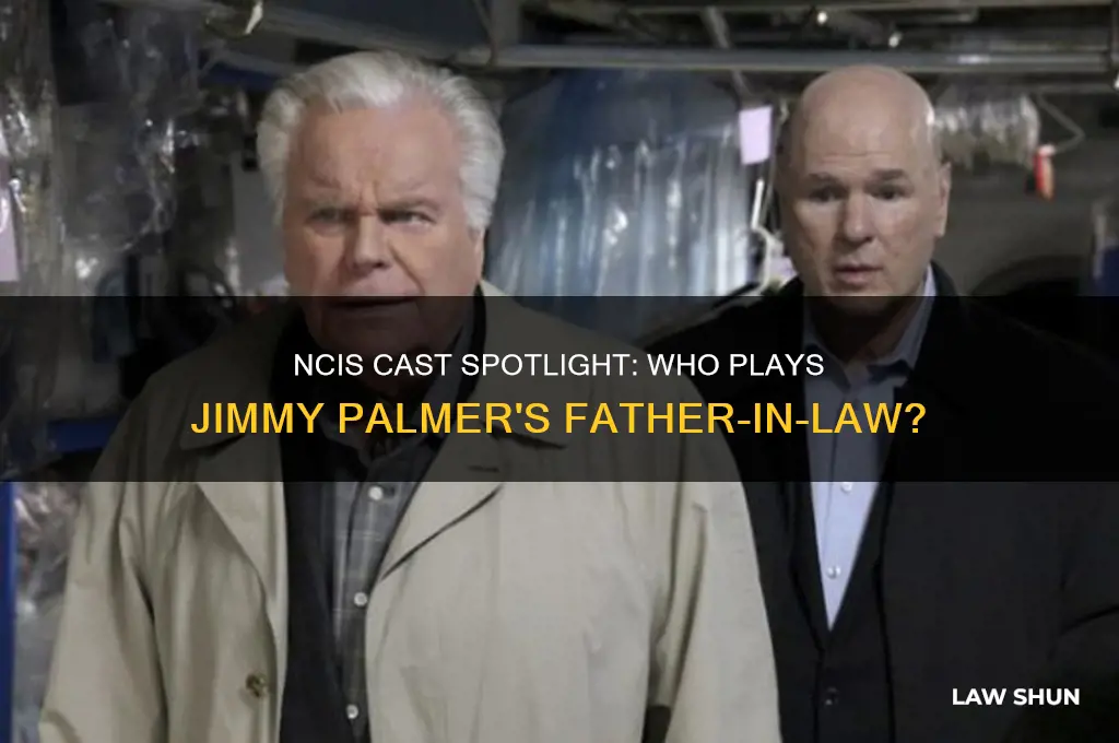 who playes jimmies father in law on ncis