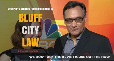 Bluff City Law: Meet the Actor Playing Strait's Ex-Husband