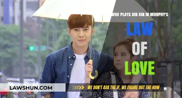 Unveiling Xin Xin: The Actress Behind Murphy's Law of Love