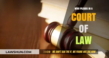 Who Pleads in Court? Understanding Legal Roles and Responsibilities