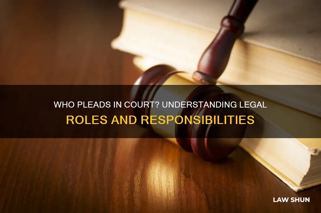 who pleads in a court of law