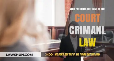 Who Presents the Case: Criminal Law Courtroom Dynamics
