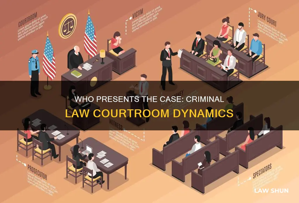 who presents the case to the court crimanl law