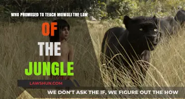 Who Promised Mowgli: Unveiling the Teacher of the Jungle Law