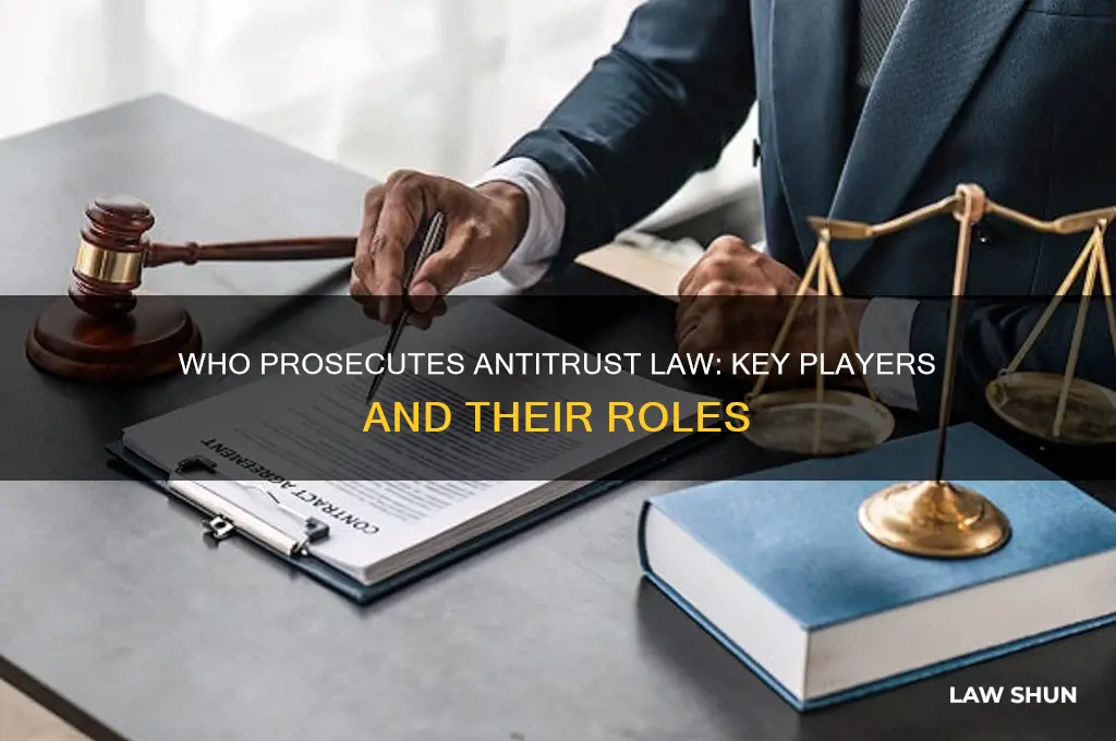 who prosocuts anti trust law