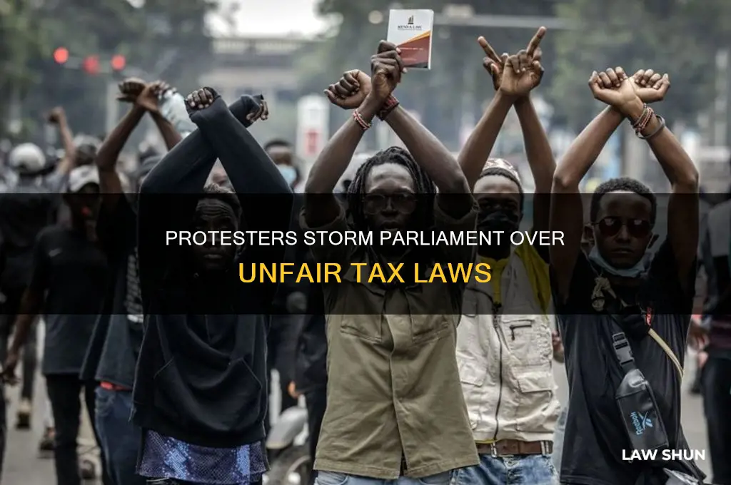 who protested tax laws in parliament