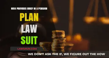 Understanding Pension Plan Lawsuits: Who Provides the Legal Brief?