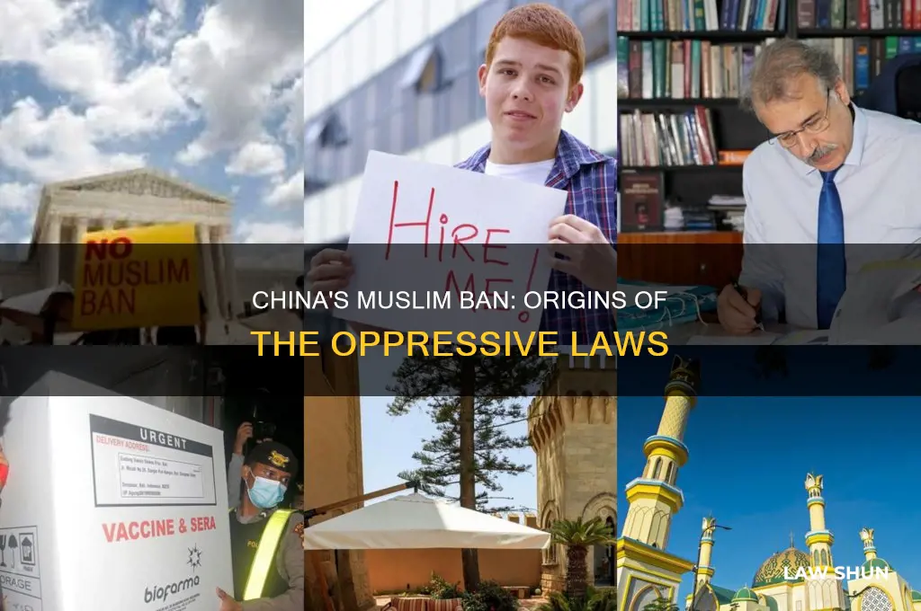 who put the laws that muslims in china are banned