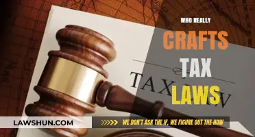 The Tax Law Crafters: Who Really Holds the Power?