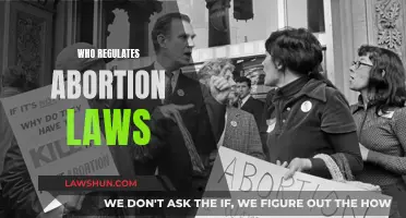 Abortion Laws: Who Has the Final Say?