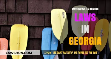 Who Regulates Boating Laws in Georgia? A Comprehensive Guide