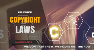 Understanding Copyright Law Regulators: Who Oversees Global Intellectual Property Rights?