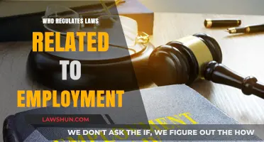 Understanding Employment Law Regulators: Who Oversees Workplace Legislation?
