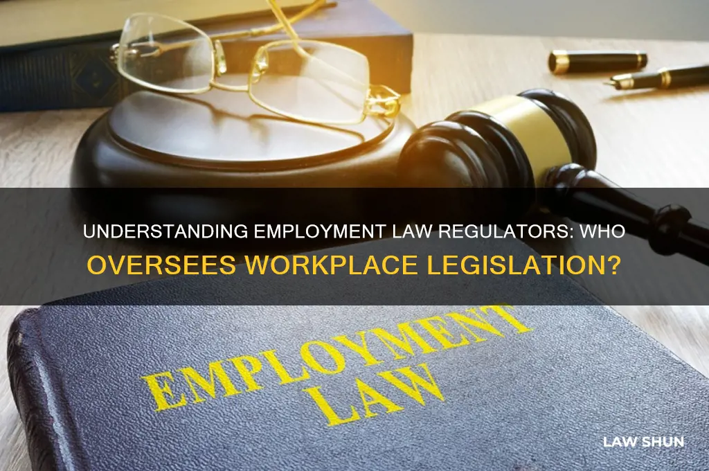 who regulates laws related to employment