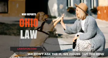 Understanding Ohio Law Reporting: Key Agencies and Their Responsibilities